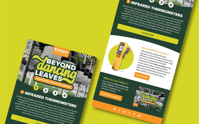 Pipp Horticulture Email design