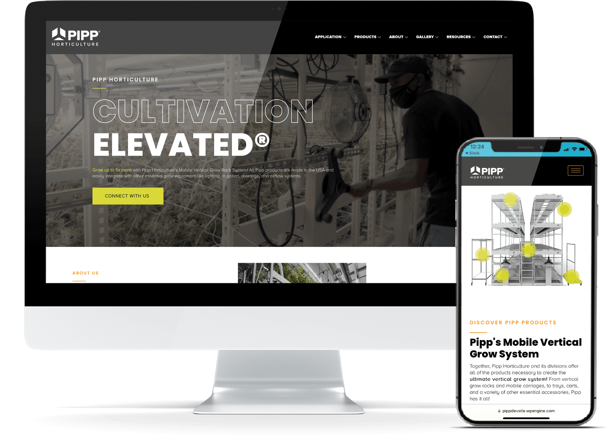 Pipp-ThrivePOP-web-potfolio-Mockups