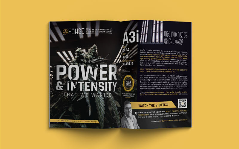 ThrivePOP-Portfolio-Work-Fohse