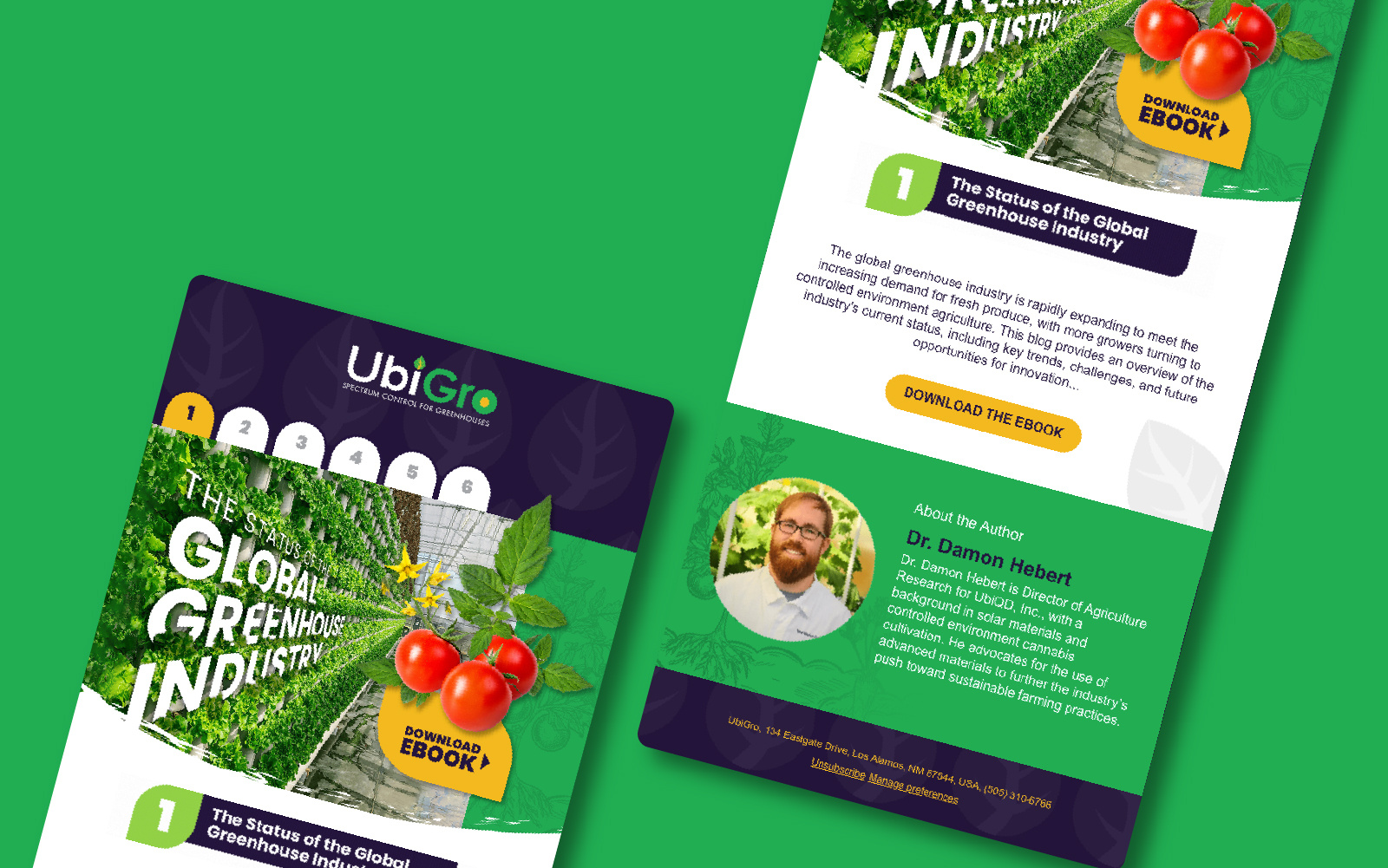 UbIgro Email design 2