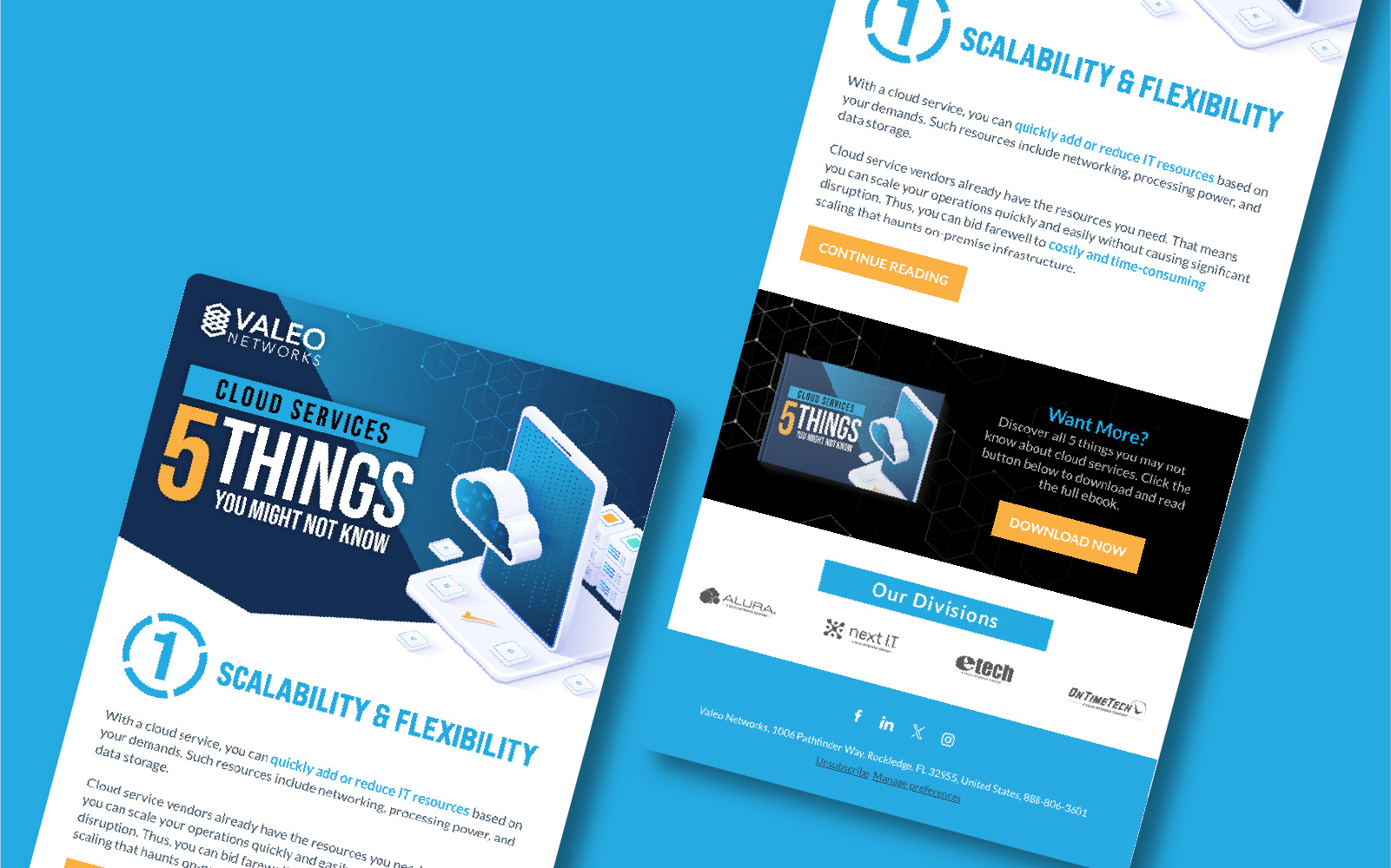 Valeo Networks  Email Design