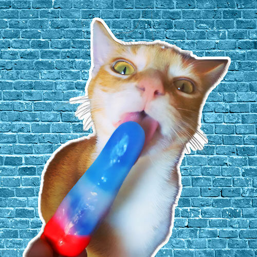 Percy-ALL-Pets