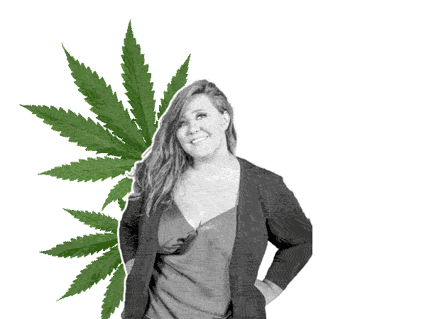BB-Cannabis-Guru-Dollars_WEB