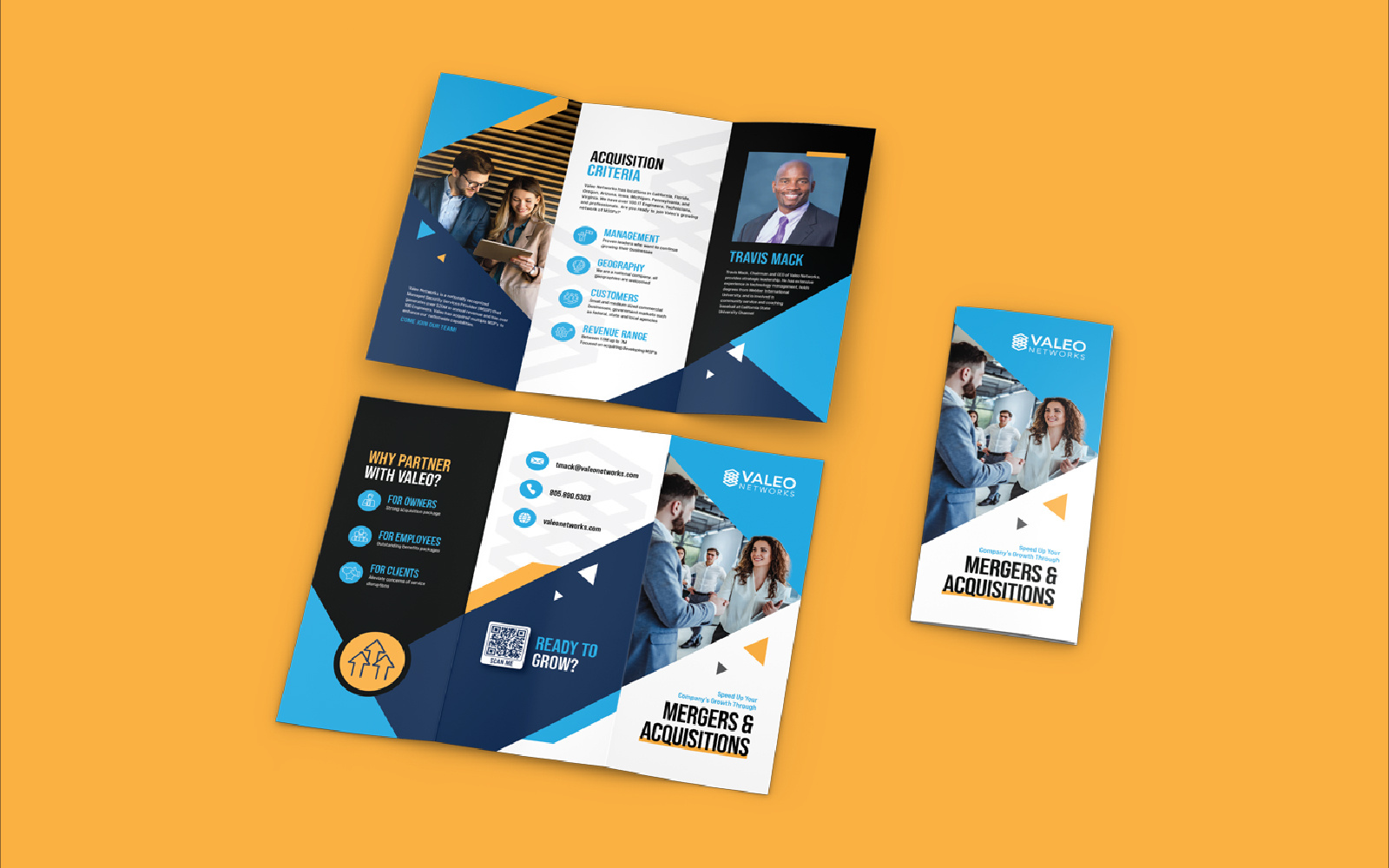 Valeo Networks Trifold Brochure