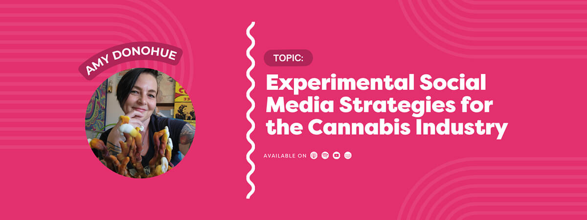 Featured interview with Amy Donohue: Social Media Strategies for the Cannabis Industry