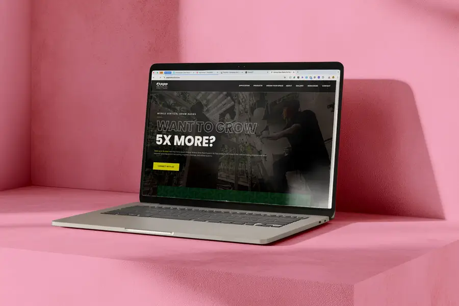 Pipp-Website