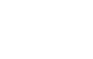 logo light