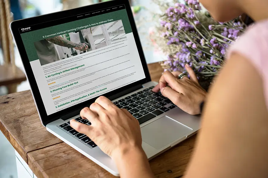 SEO Blog Writing and PPC
