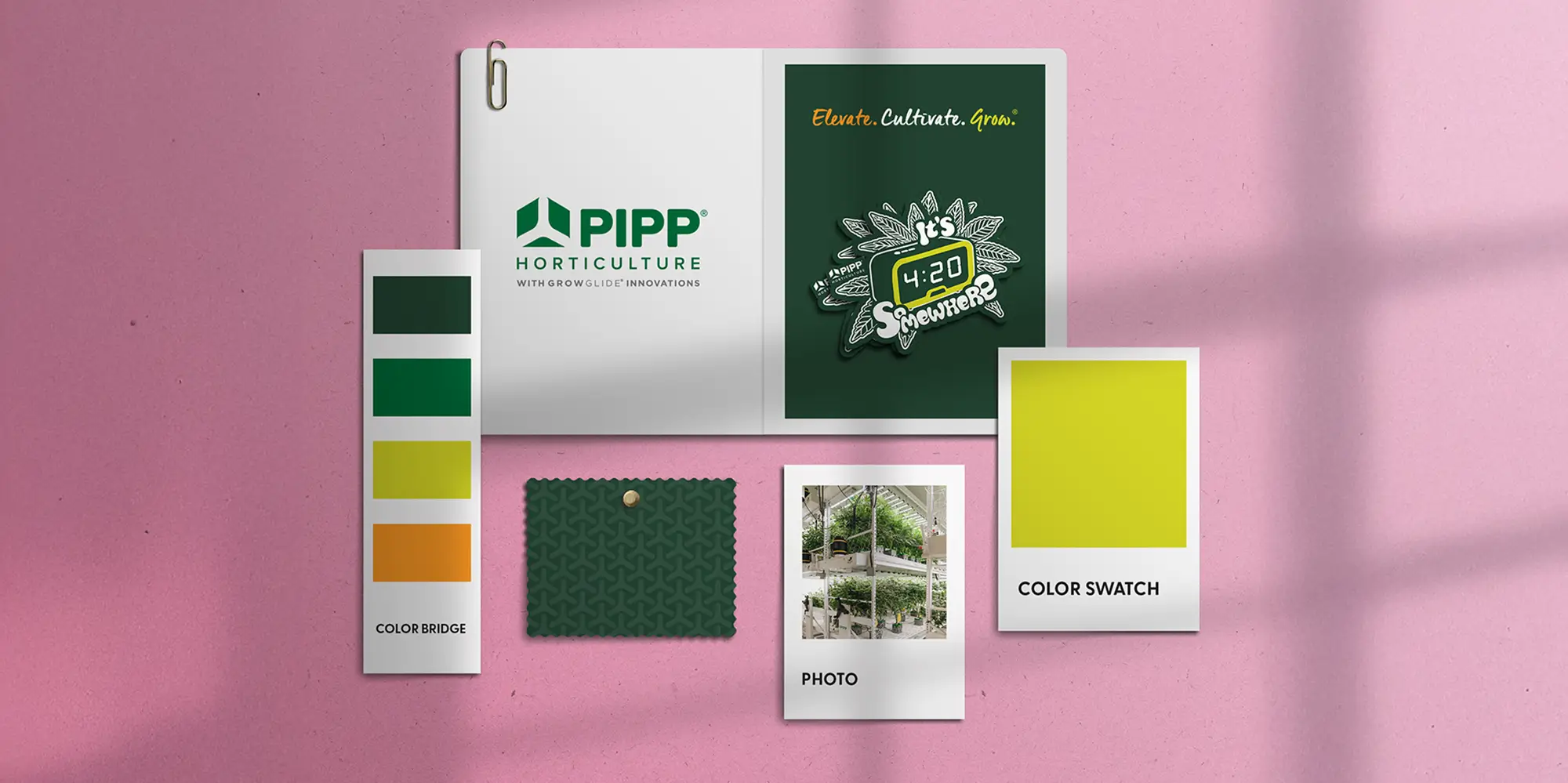Pipp Horticulture Branding