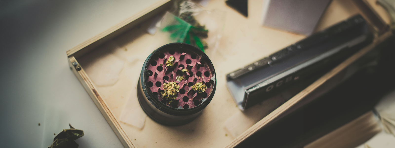 What Makes a Successful Cannabis Social Media Content Strategy?