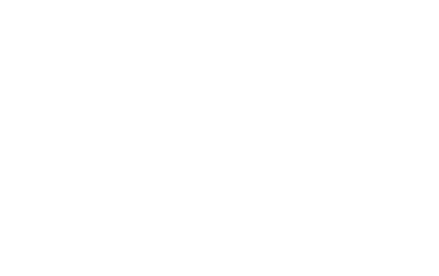 logo light