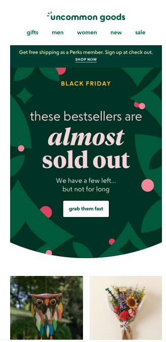 Common Goods Black Friday sale email blast