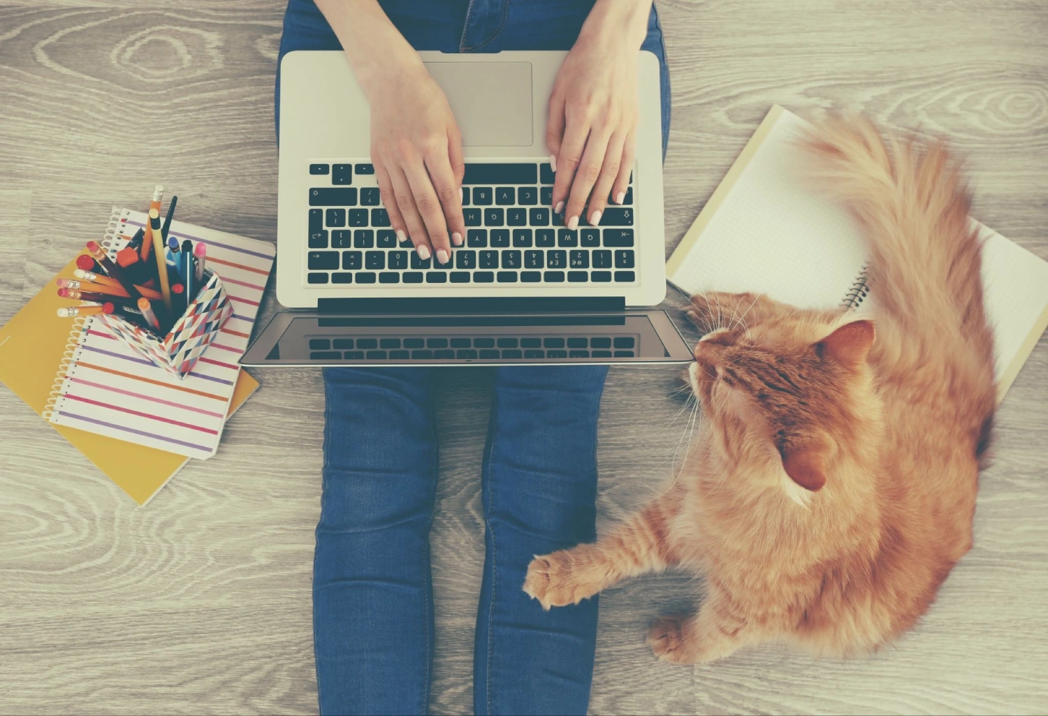 How Pet Brands Can Win in AI Search