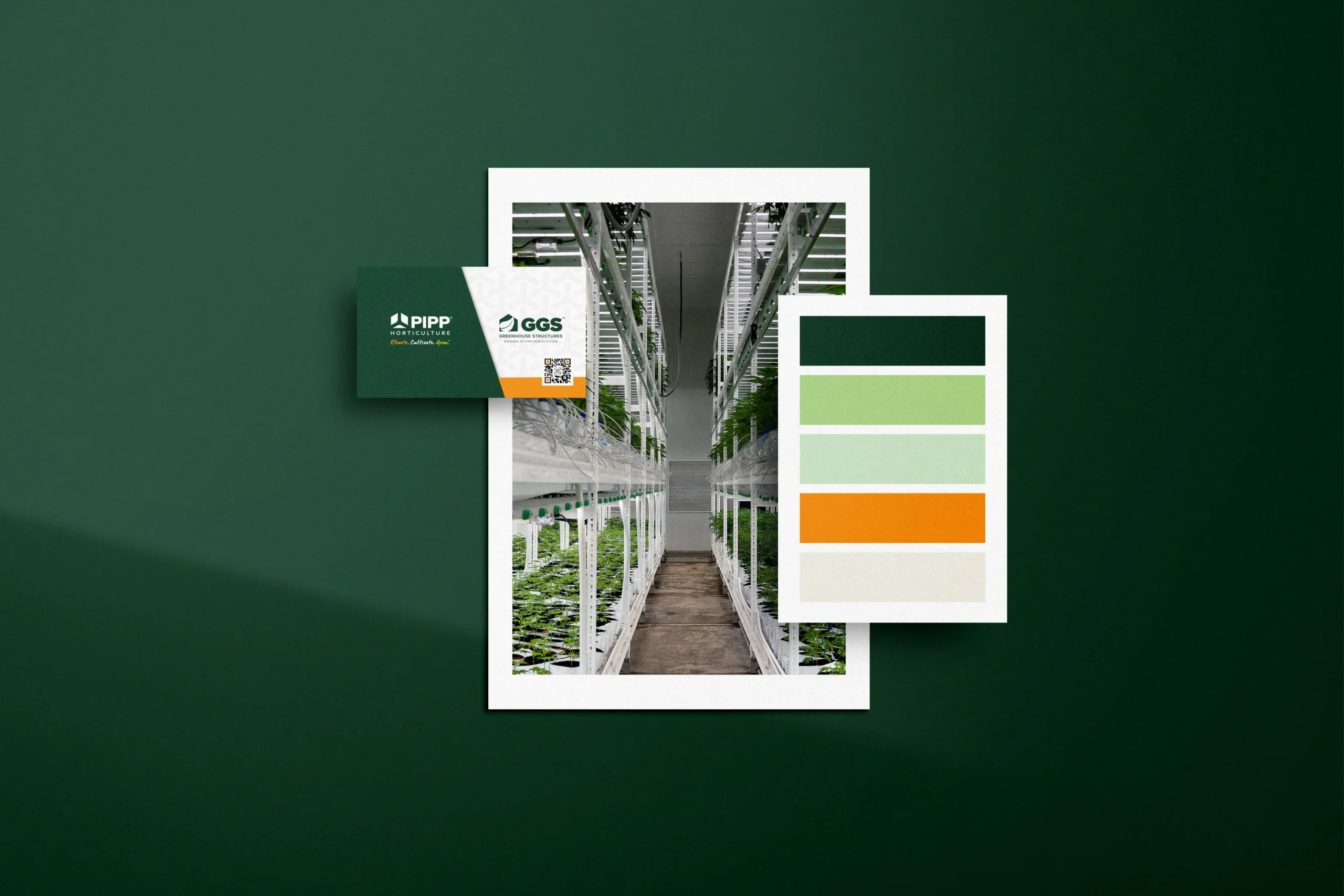 Pipp Horticulture Marketing: Branding