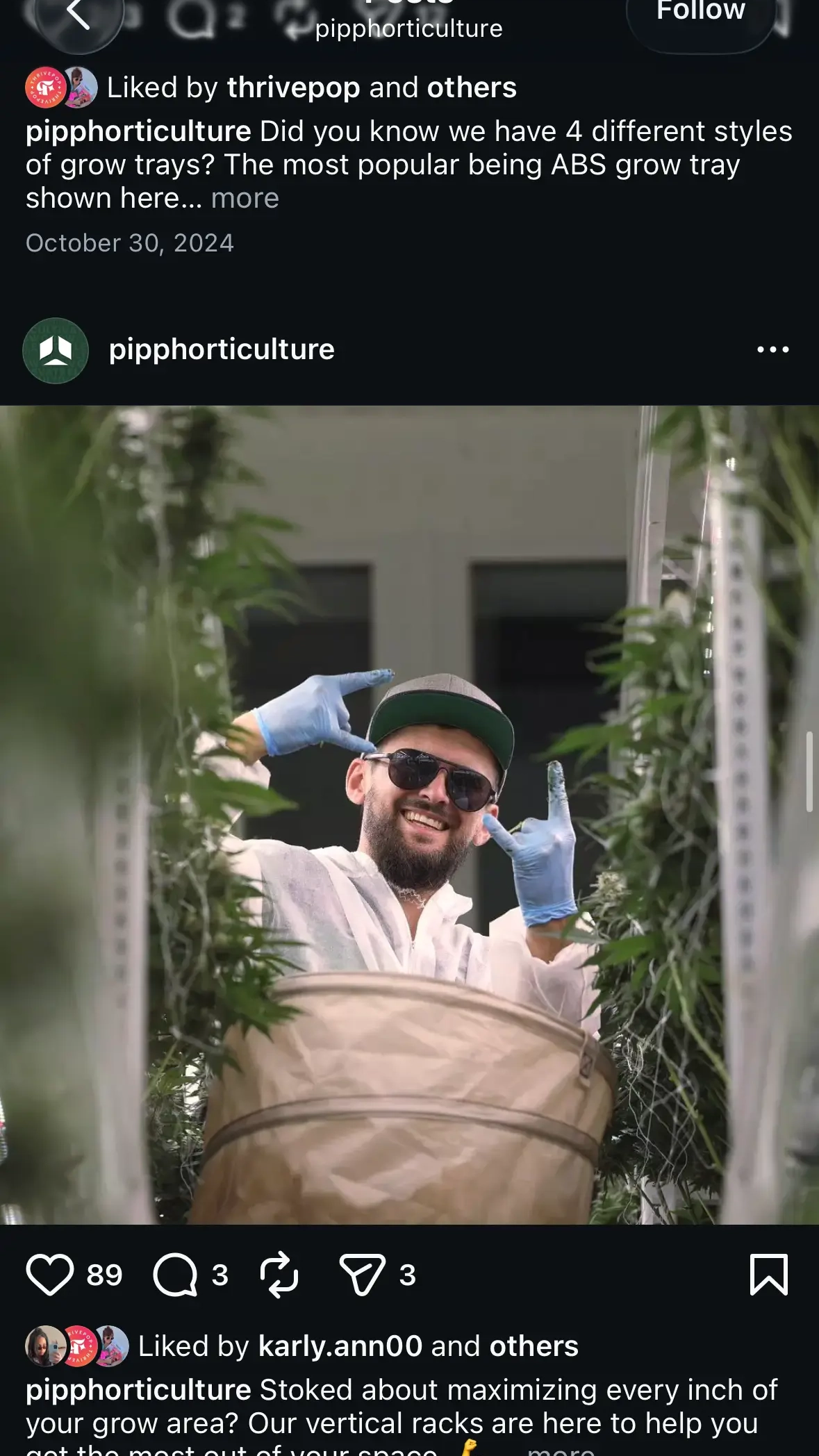 Pipp Horticulture Social Media Marketing