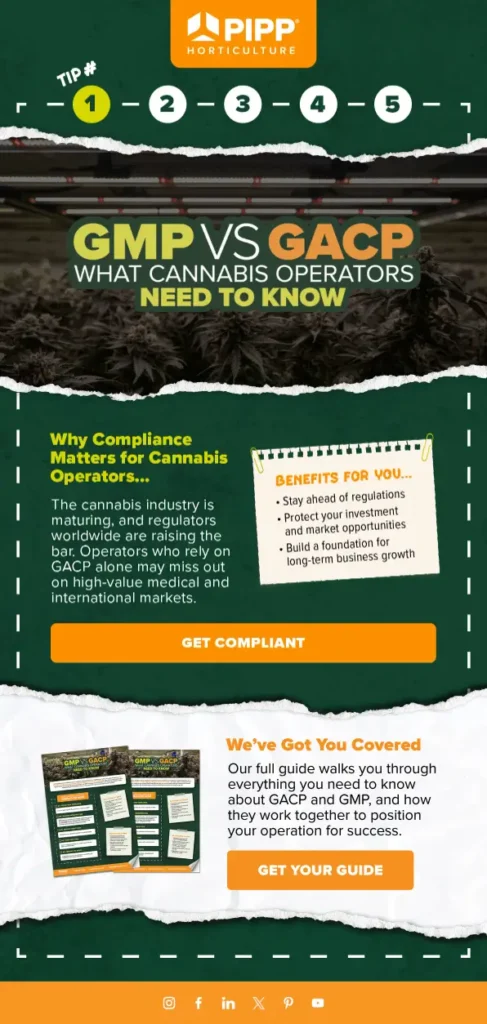 Pipp Horticulture Email Marketing
