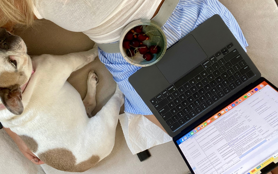 How Can Pet Brands Get More Customers From Social Media